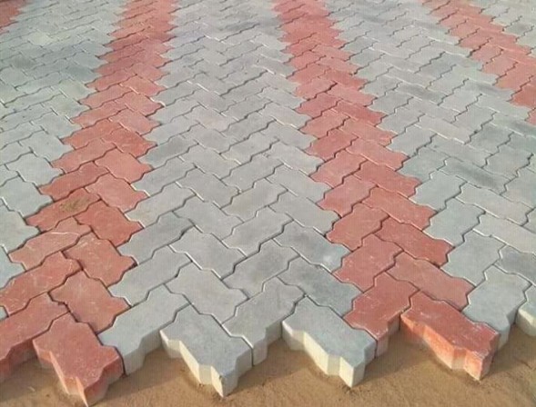 Designer Paver Block